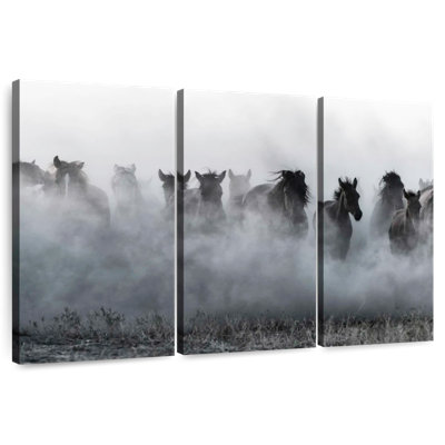 Brampt Turkish Horses