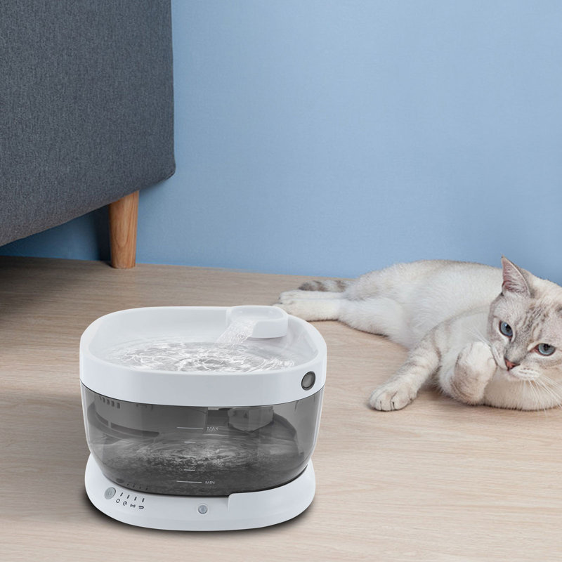 Fontaine pour chat, Blanc