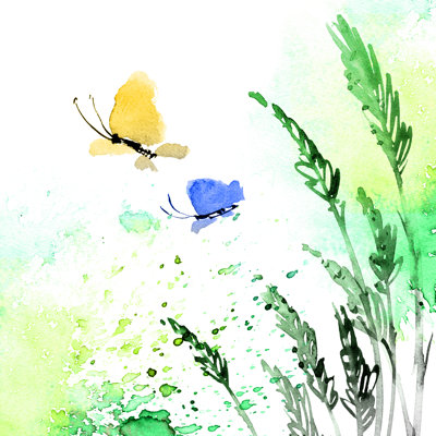 Orick Butterfly And Meadow Grass by Ola_Tarakanova - Wrapped Canvas Painting
