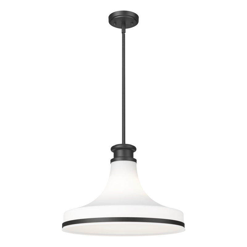 Luminaire suspendu 1 lumière noir mat Reznor 18 pouces, Noir mat