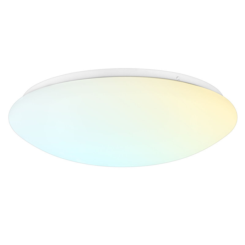 17-Inch LED Flush Mount Ceiling Light Fixture, 5CCT Selectable, 2420 Lumens, 34W, CRI 90, Dimmable Light Fixture, Damp Rated