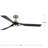 Belen 60'' Ceiling Fan with LED Lights-94228878-94228879