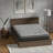 Mattresses, Full Size 12 Inch Medium Firm Hybrid Mattress with Gel Foam &amp; Pocketed Coils | Foam+Spring | Black+Gray-123026058