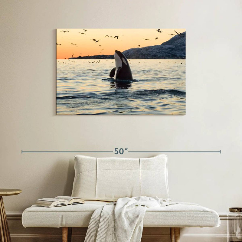 Baleine espion espion, H 26 po x l 39 po