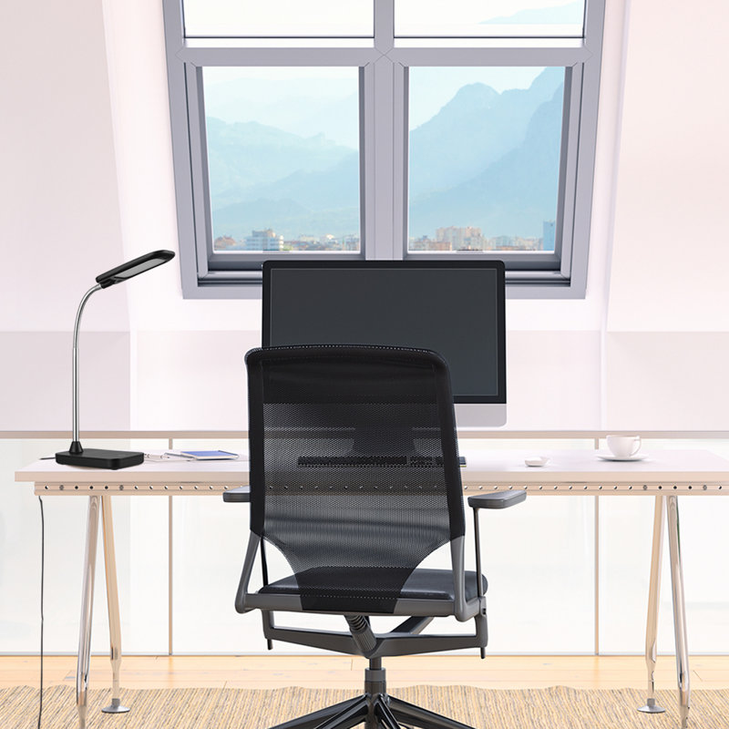 Lampe de bureau 14,25 po Maranta, Noir