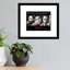 Pensée (Trio): Peace, Power, Respect - Reproduction de photo sur papier encadrée