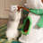 2 Tiers Cat Tree with Condons,Perch,Scratching Posts