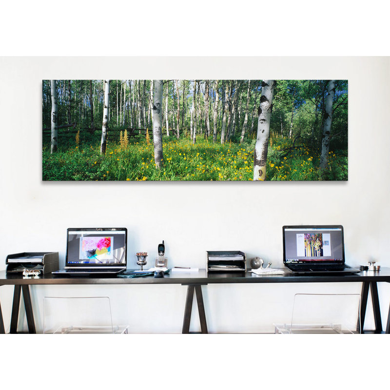 «Field of Rocky Mountain Aspens», reproduction de photo sur toile, H 20 po x l 60 po x P 1,5 po, Toile tendue