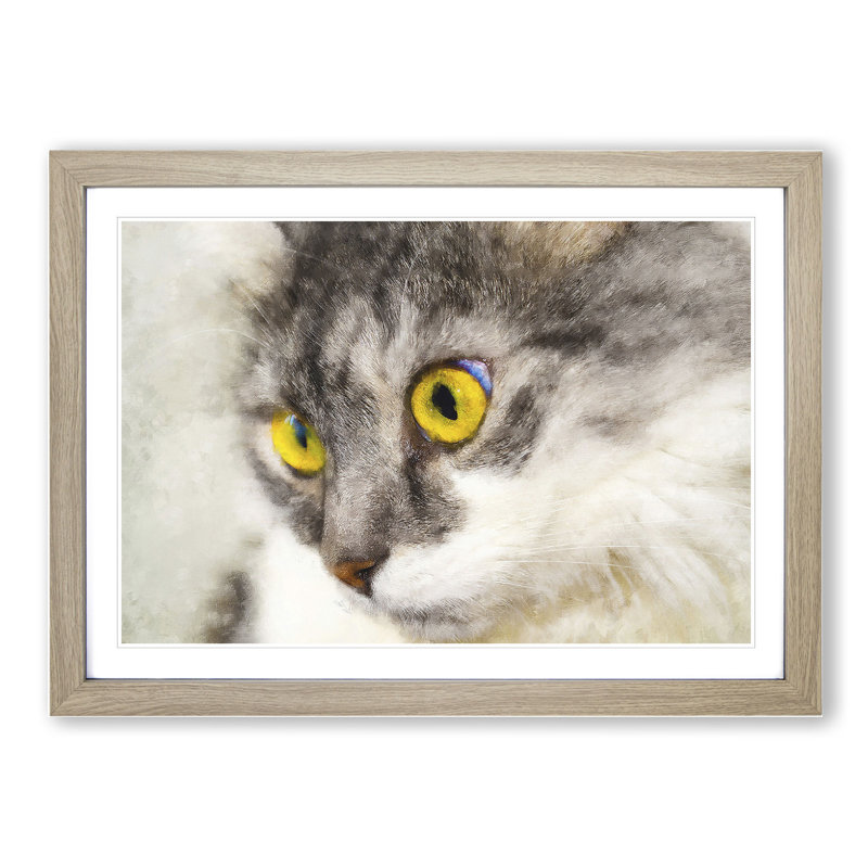 Portrait of a Cat Vol.8 - Picture Frame Painting, 36cm H x 48cm W x 2cm D, Oak Framed