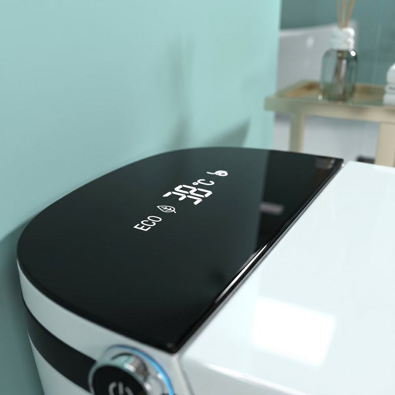 Smart One-Piece Toilet With Bidet, Heated Seat, Auto Open/Close & Led Display, White+Black