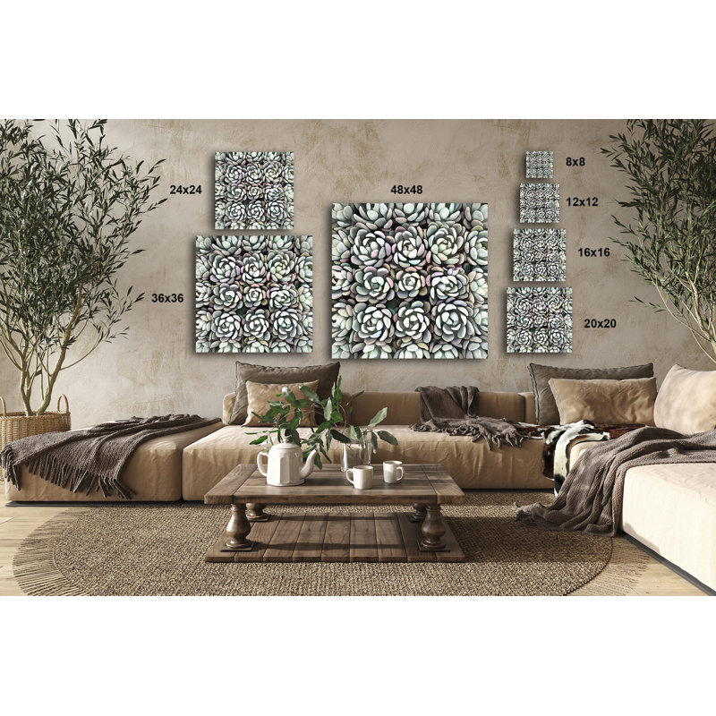 Graptoveria Olivia - reproduction sur toile tendue, H 8 po x l 8 po x P 1,5 po