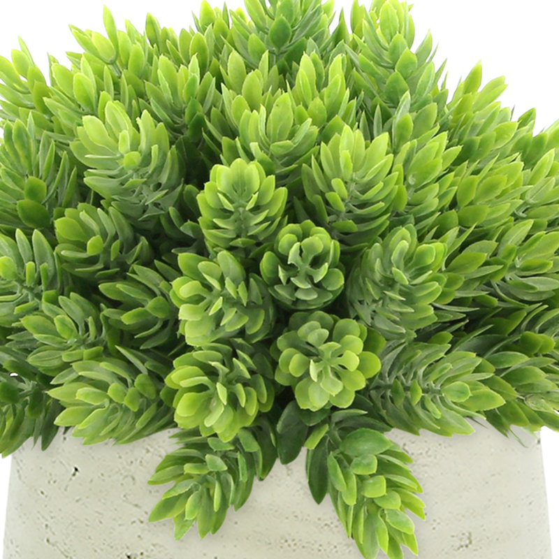 Faux Succulent in Fiberstone Pot, Beige
