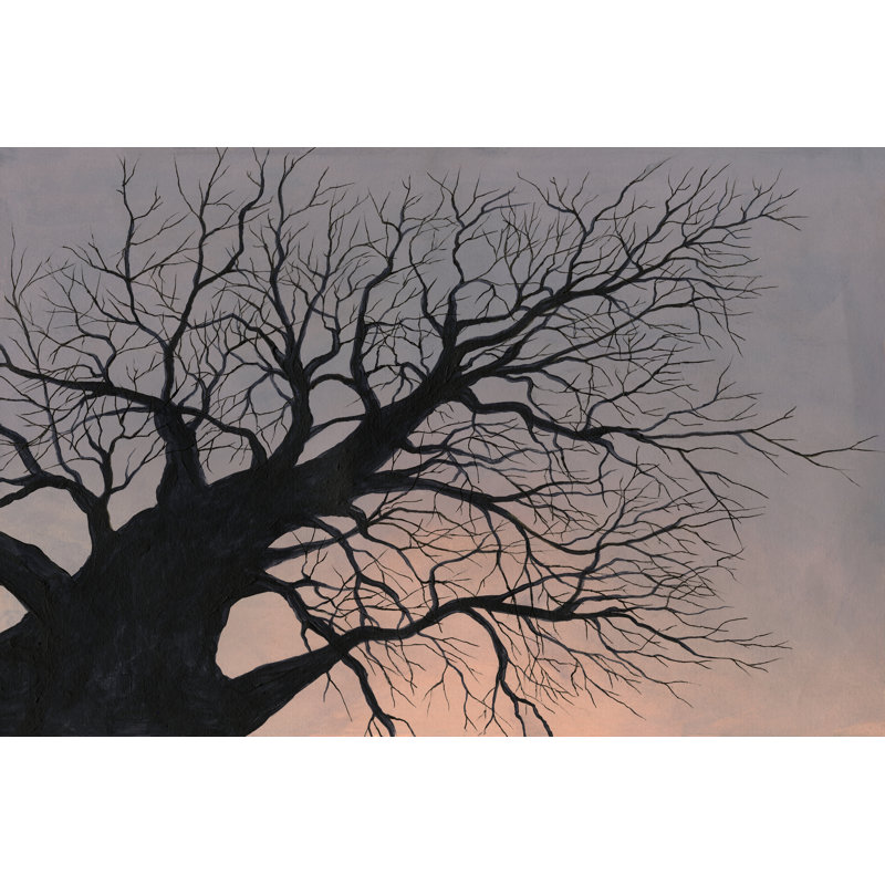 Gnarled Tree II by Michael Willett - Wrapped Canvas Print, 30 cm H x 46 cm W