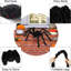 Halloween Spider Decorative Accent-1682998186