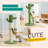 Gillman Scratching Post-575764096