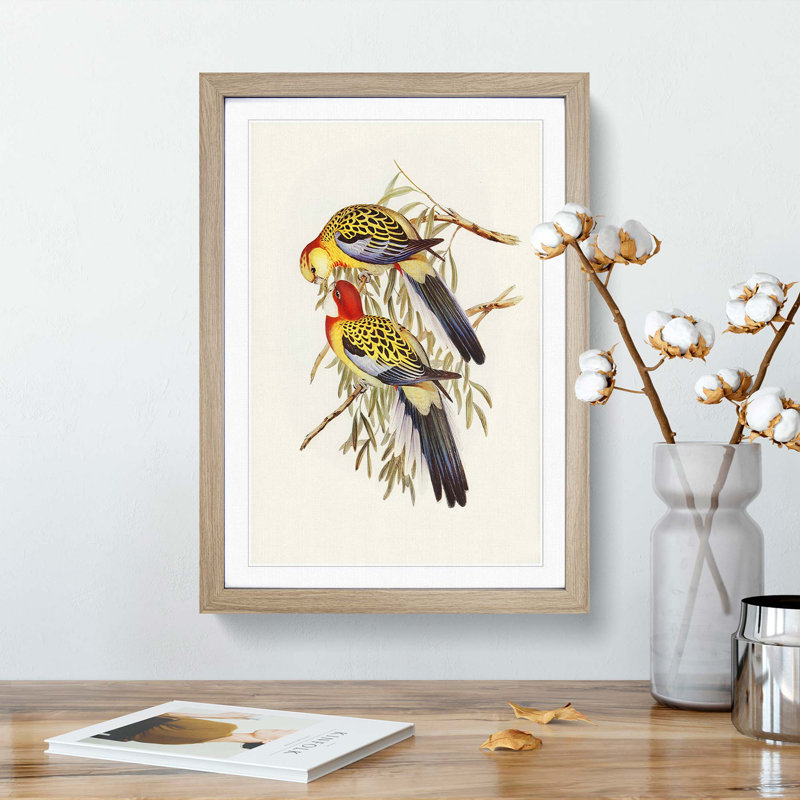 Splendid Parakeets by Elizabeth Gould - Picture Frame Painting Print, 48cm H x 36cm W x 2cm D, Oak Framed