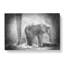 Mother & Baby Elephant Together In Abstract - Wrapped Canvas-55308890