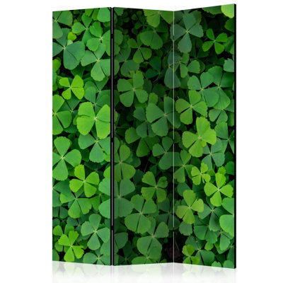 135cm W x 172cm H 3 - Panel One Sided Room Divider Folding Room Divider