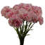 Plastic, Silk Artificial Arrangement-88685013