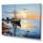 Wrapped Canvas