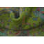Tapis traditionnel vert en laine à motif médaillon 6 x 10