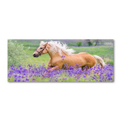 Horse On The Lavender Field - Wrapped Canvas Print