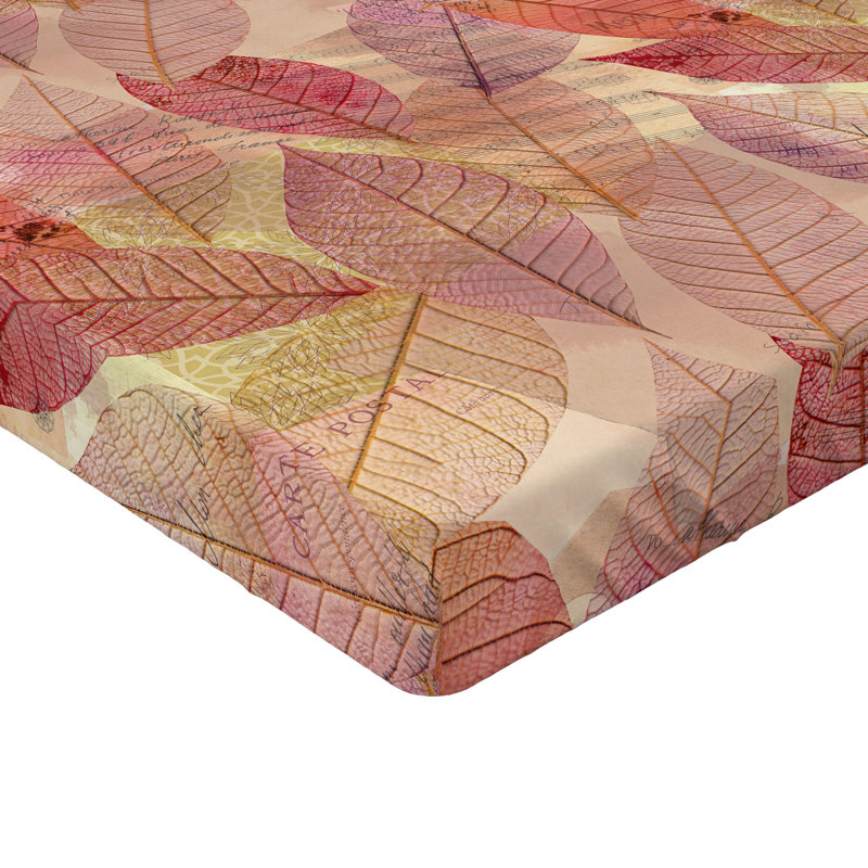 Drap-housse Ambesonne