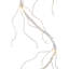 Lit 6' White Twinkling Garland