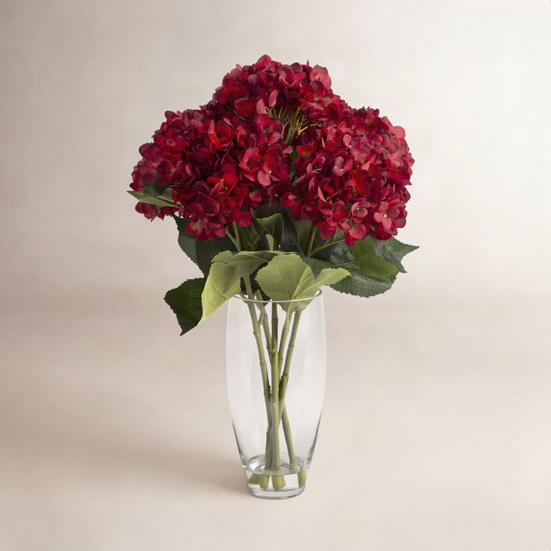 Hortensias dans un vase en verre, Bourgogne