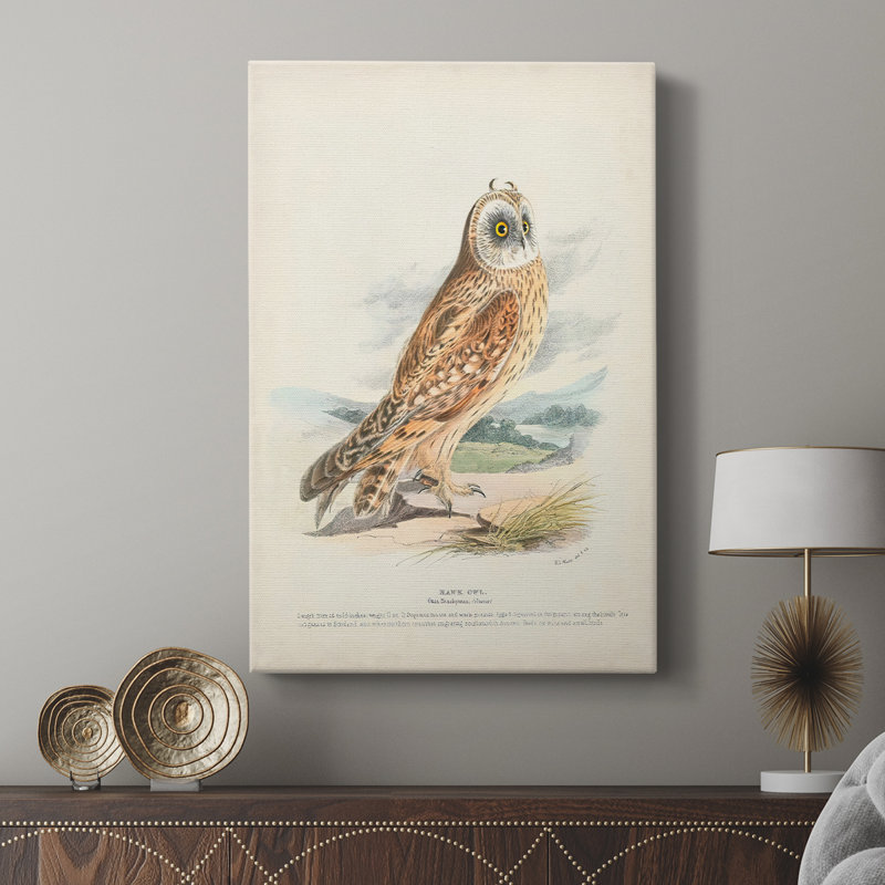 Hawk Owl - galerie sur mesure, H 27 po x l 18 po