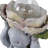 Garden Statuary Magnesia Turtle Design With Flower Cap And Crackled Glass Globe Light For Home Garden Use - 15" Gray