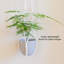 Planter