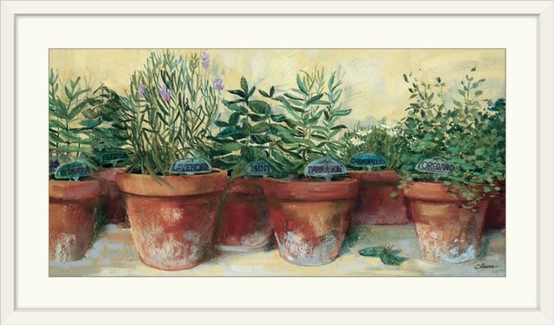 «Pots Herbs» par Carol Rowan - impression, Cadre blanc, H 20 po x l 32 po x P 1 po