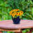 Ailynn Round Imperial Ceramic Outdoor Planter-1857609944-1857609945