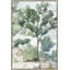 Landscape & Nature-628219-628220