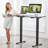 Ivion Adjustable Metal Base Standing Desk-104818536