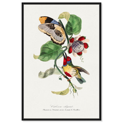 Reproduction d'art sur toile, cadre noir, Barbet élégant