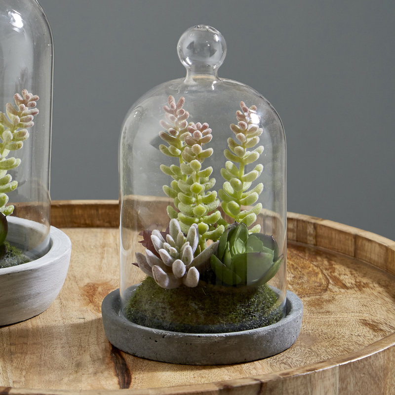 Sydnee 18cm Succulent in Cement Terrarium