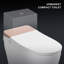 Toilette allongée une pièce Cosvalve 1,28 GPF (économe en eau) (siège inclus)
