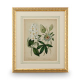 Cottage Florals II Print