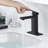 Single-handle Bathroom Faucet with Drain Assembly