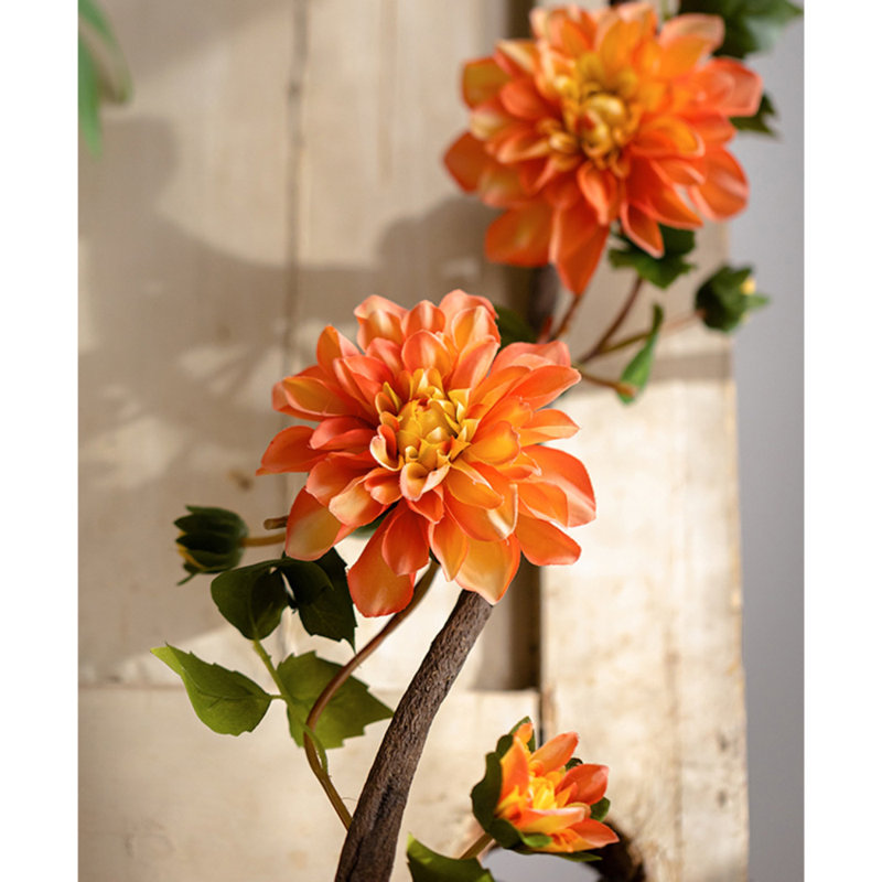 Tige de dahlia, Rose clair