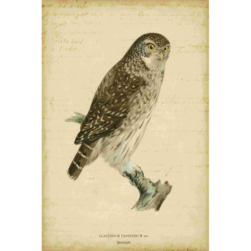 Hibou rétro non embelli, H 18 po x l 12 po