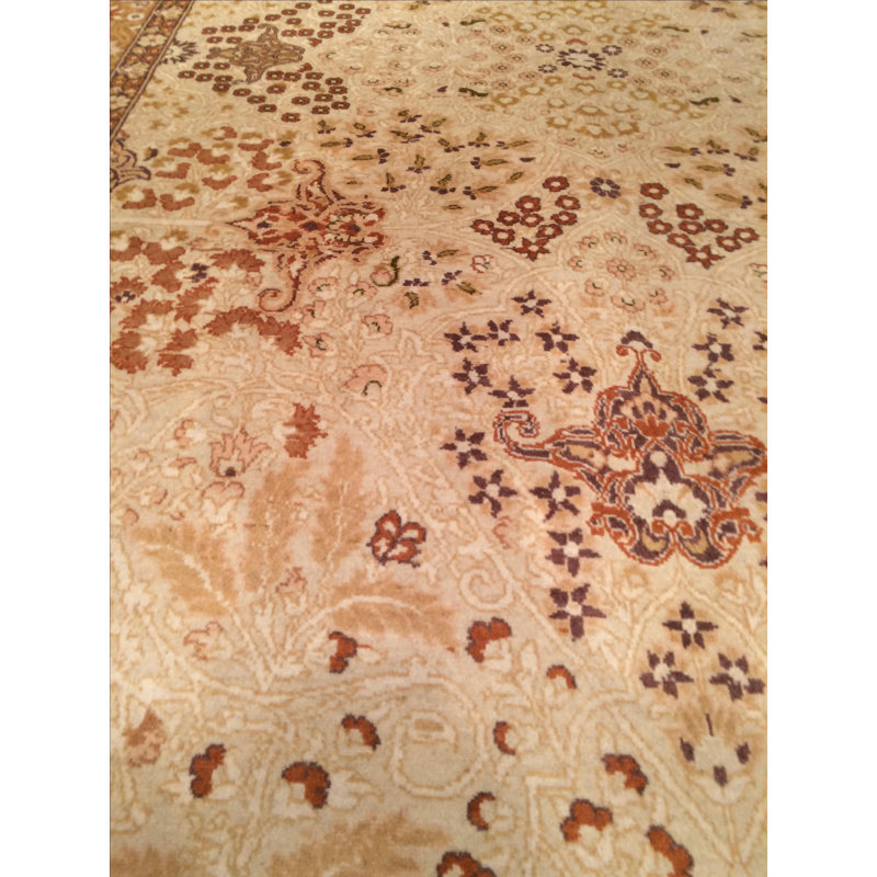 Oriental Area Rug in Beige