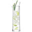 Gin Handmade Glass Highball Glass and Coupe