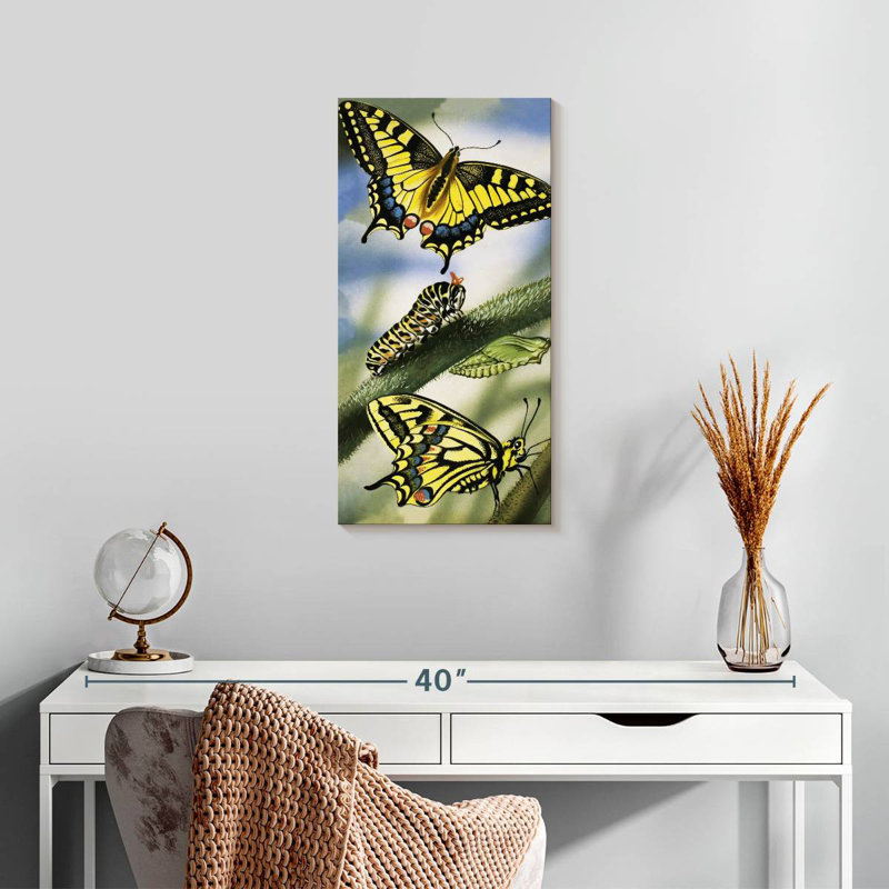 Papillons, H 24 po x l 12 po