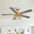Rippeon 52'' Ceiling Fan with Light Kit-648324877