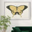 «Beautiful Butterfly I», impression sur toile encadrée-345591195-345591193
