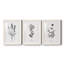 Simply Imperial - Ensemble de 3 cadres photo-644663664-644663658