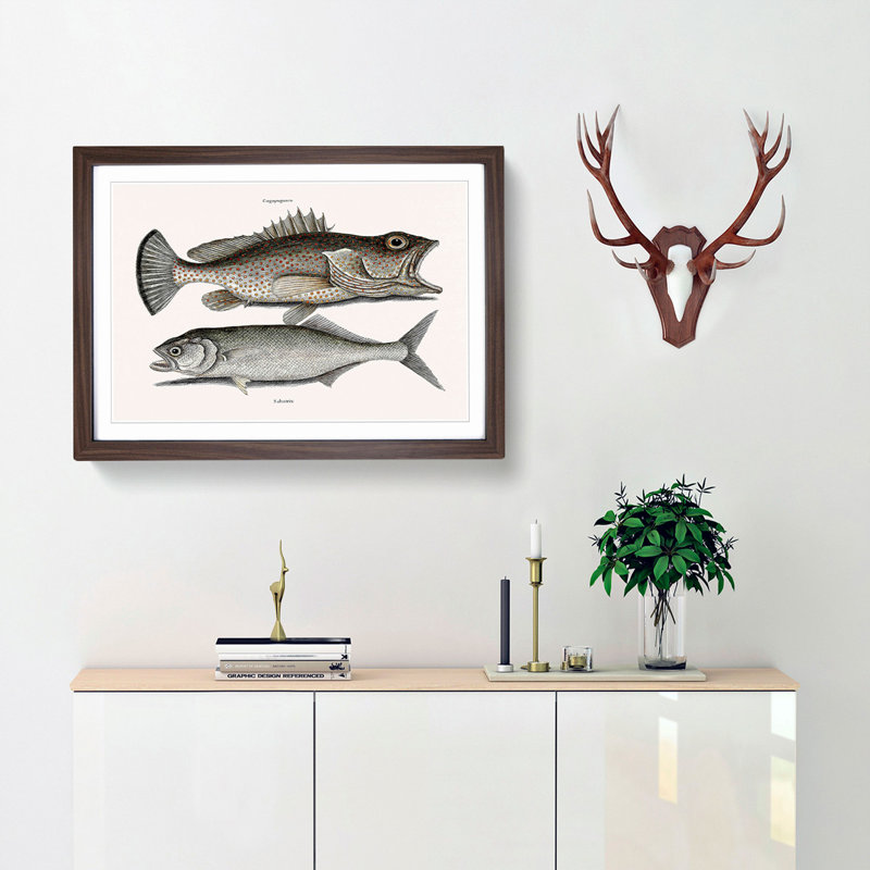 Skipjack & Hind Fish by Mark Catesby - Picture Frame Painting Print, Walnut Framed, 48cm H x 65cm W x 2cm D